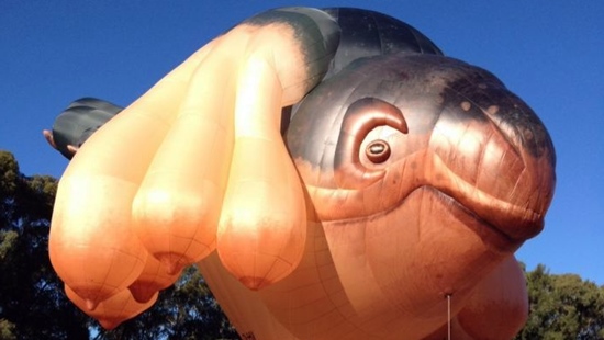 Skywhale-canberra-photo-550x.jpg