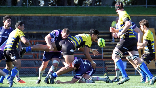 NRC-stars-skelton-IMG_0306-550x.JPG